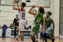 Basket Cecina Vs Green Basket Palermo